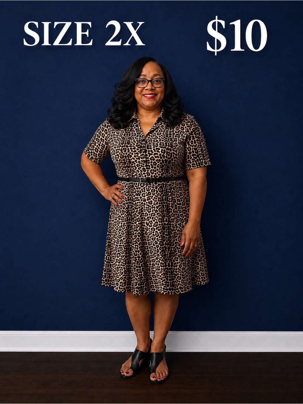 Leopard Print Button-Front Fit & Flare Dress - Size 2X